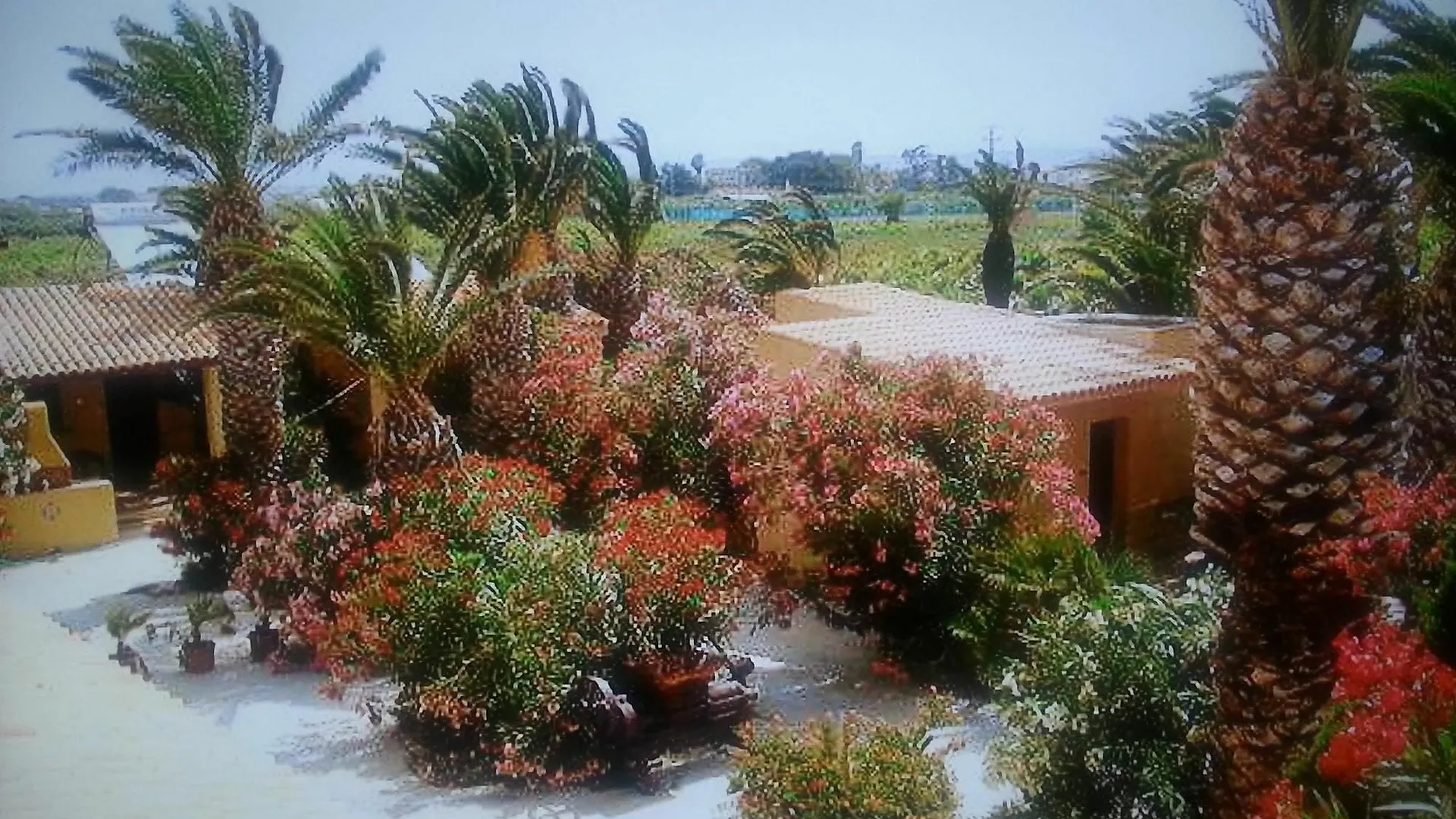 Apartment With One Bedroom In Marsala, With Pool Access, Enclosed Gard  マルサラ